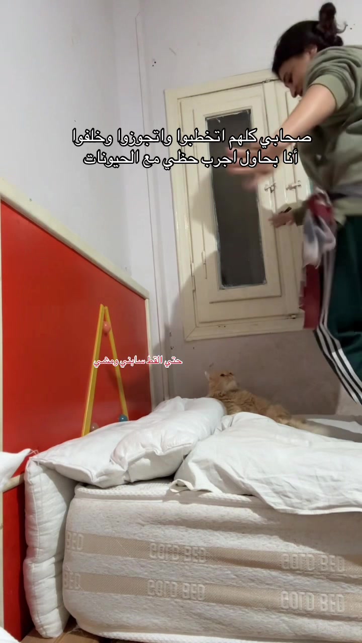 @nourhassan4444