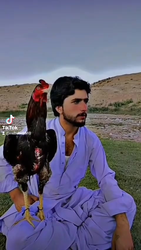 @M S baloch