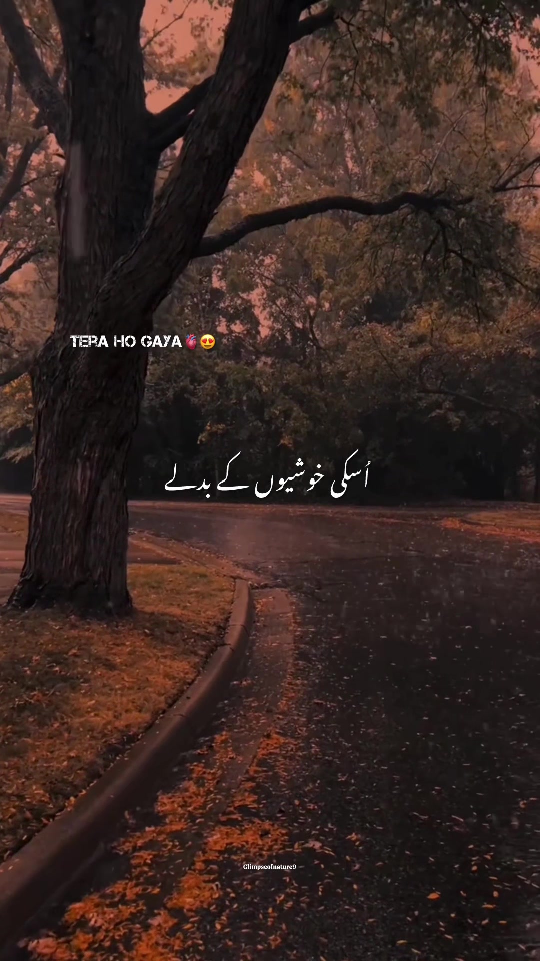 @Amna Mir❥