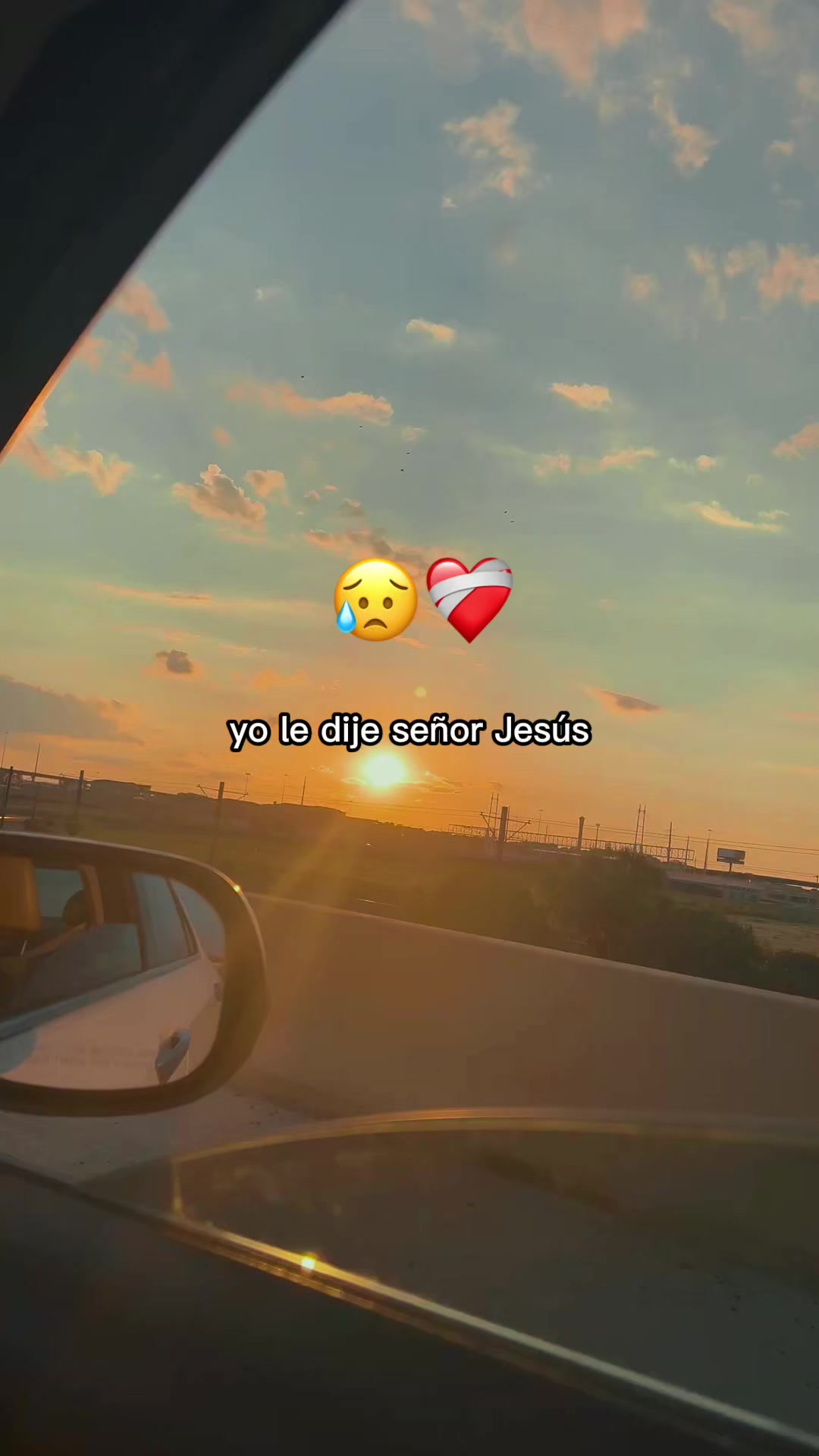 @Beatr&iacute;z🫅🏻🤩🌻