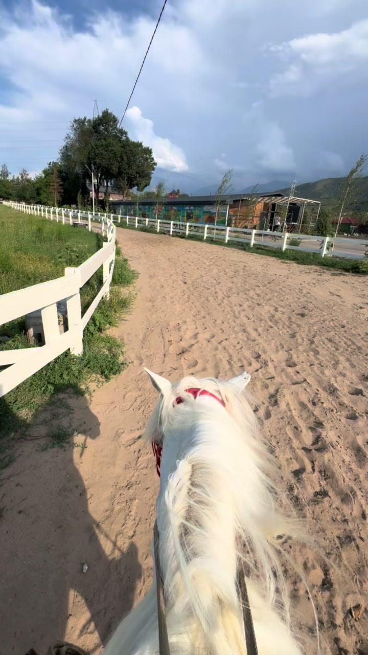 @🐎Ева🐎