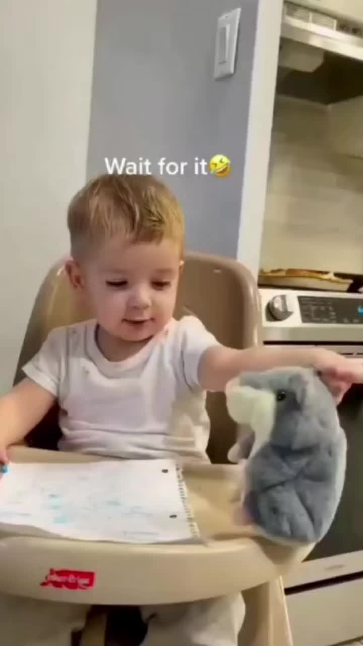 @Funnybabys😂😂