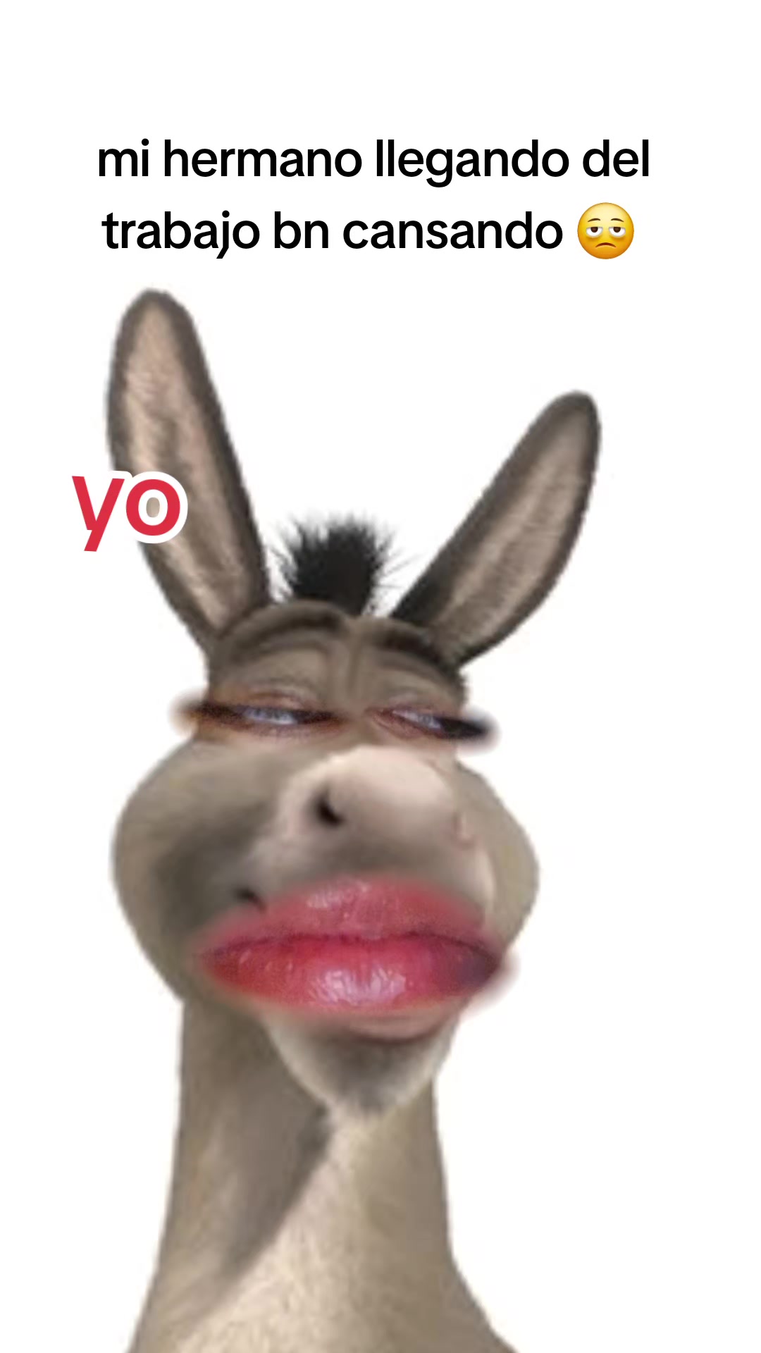 @🌻⃞⃟⃕⃕⃕⃕⃕⃕⃕⃕⃝🇬🇹S☀️LN🇲🇽⃟ᬼ⃕␝