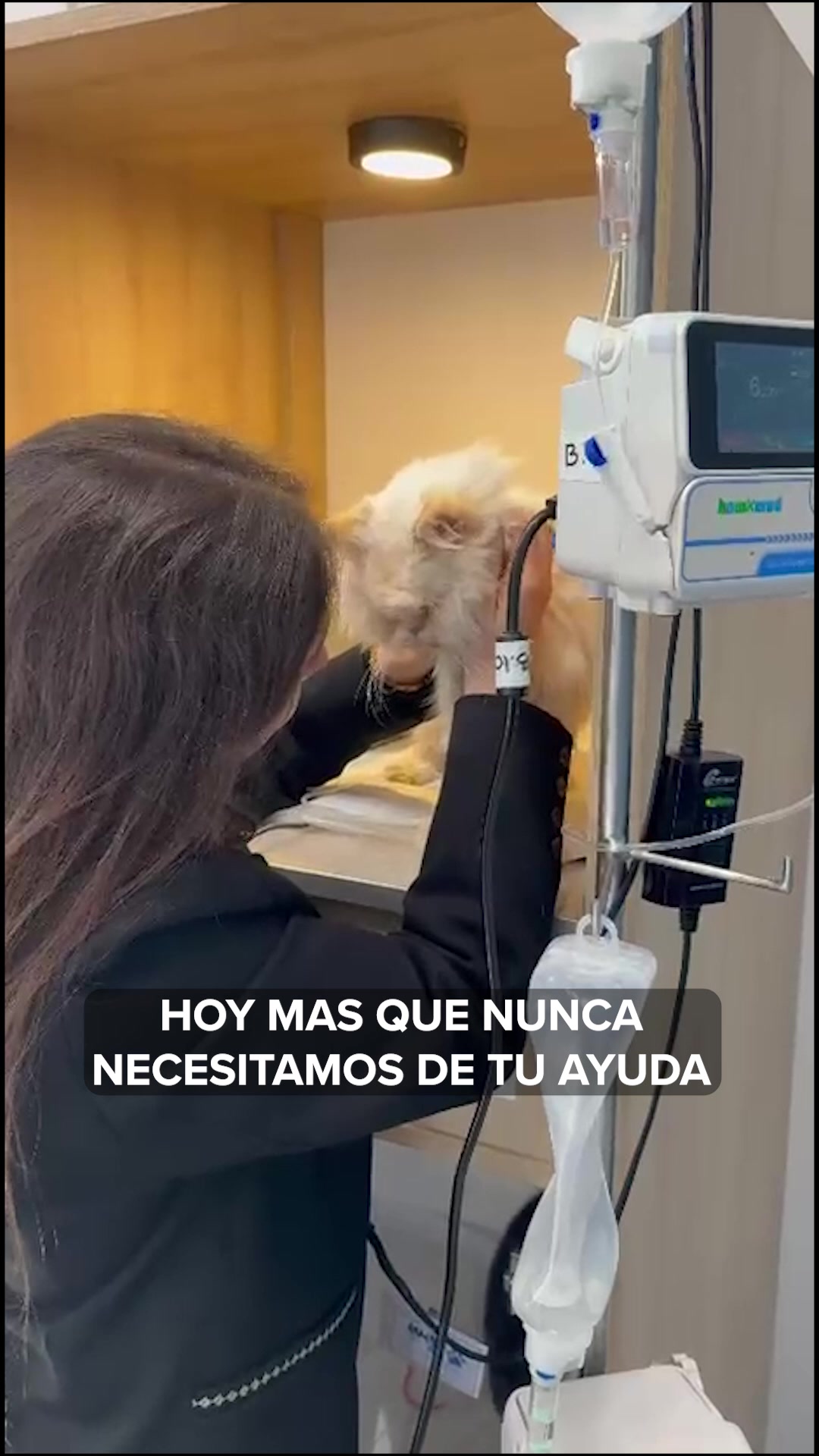@Daniel