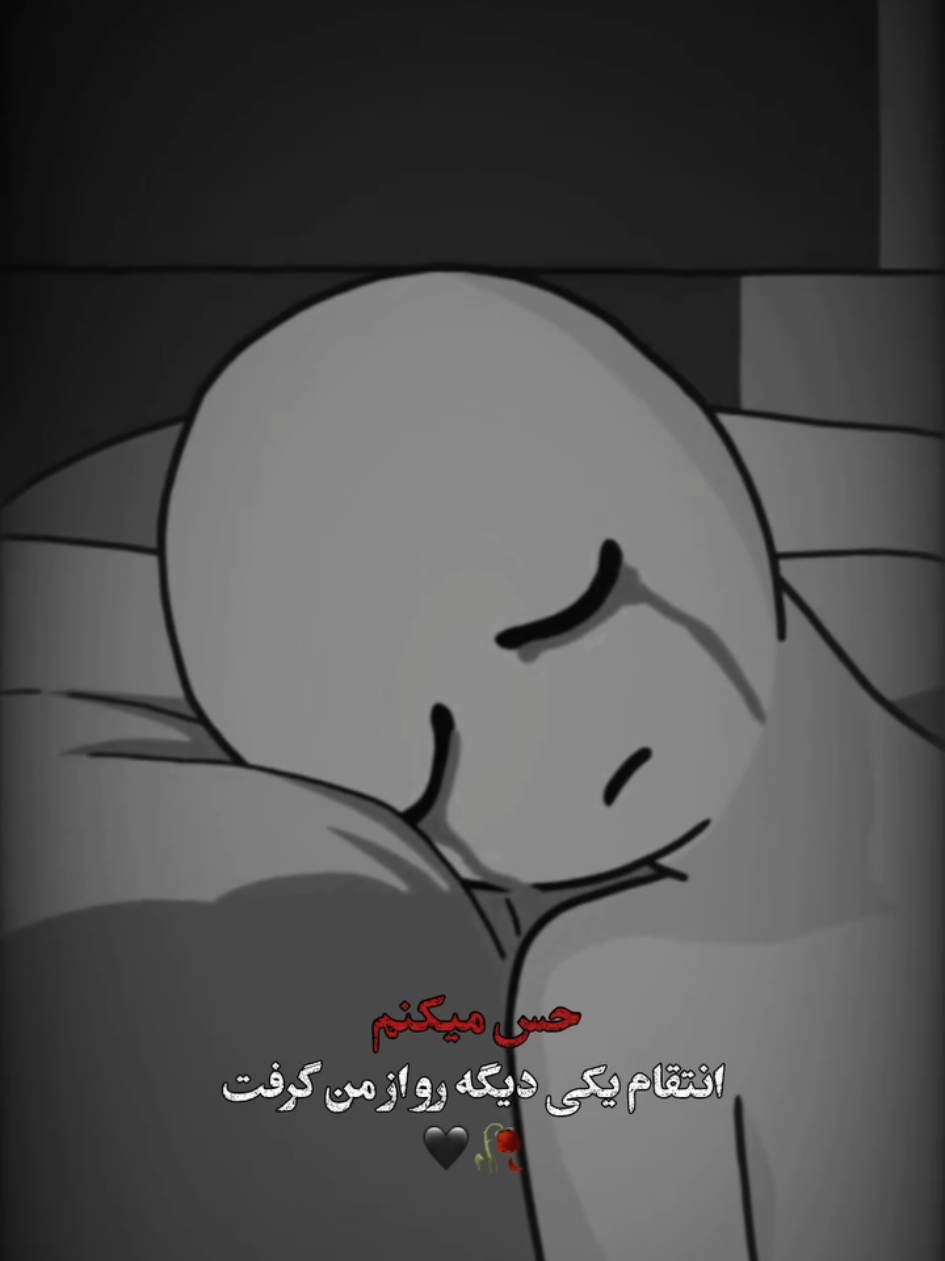 @Mehrab / مهراب