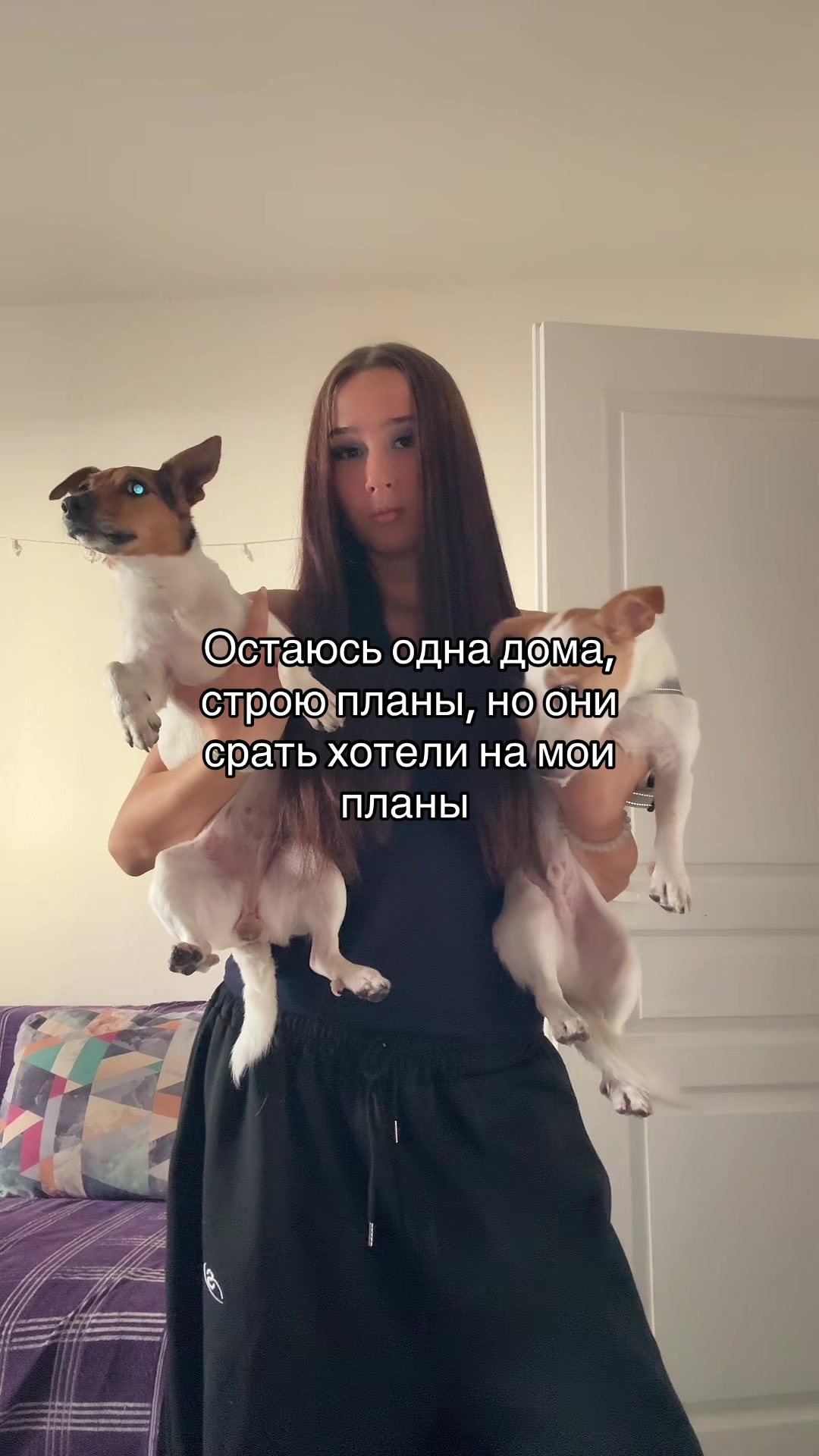 @Shoo