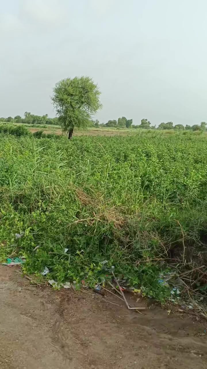 @Mukesh kumar kolhi
