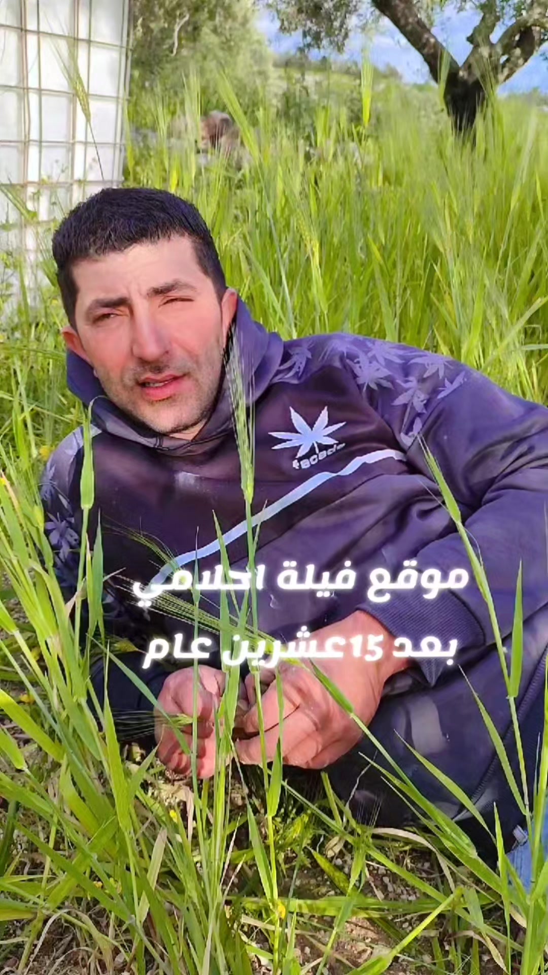 @Yasmeen Zaroor