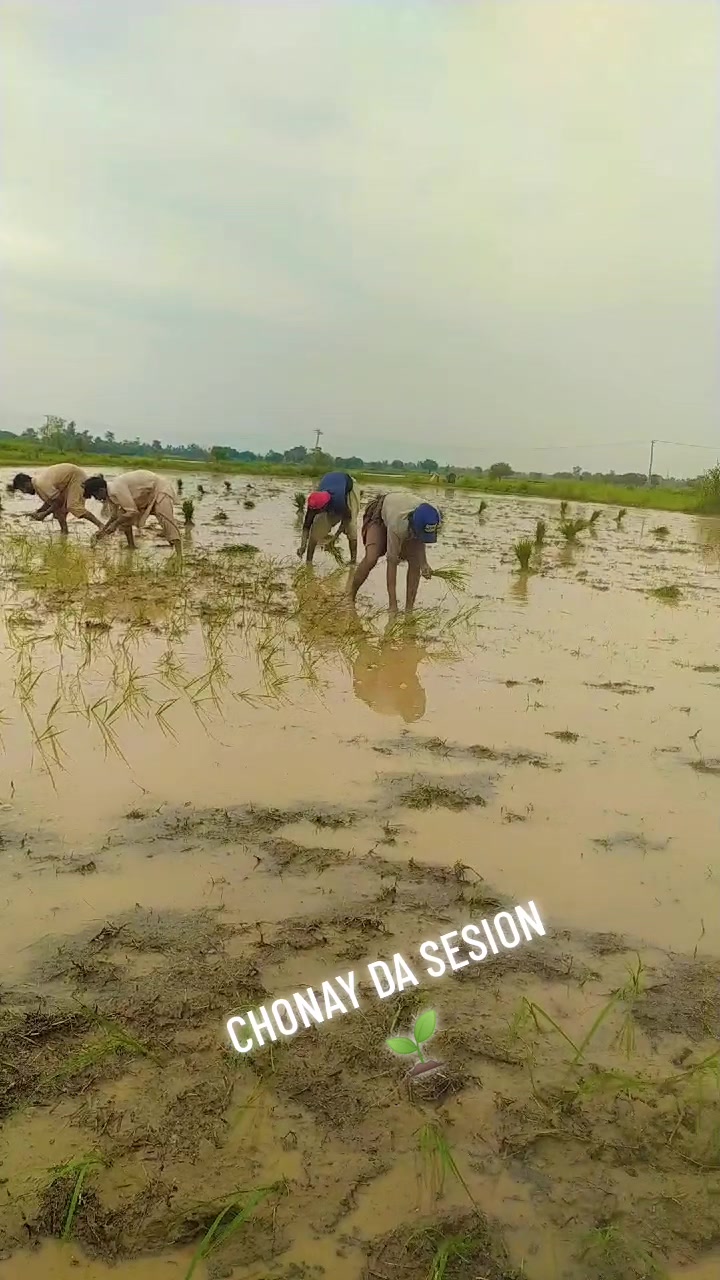 @Aلi SUلEHRI 🚩