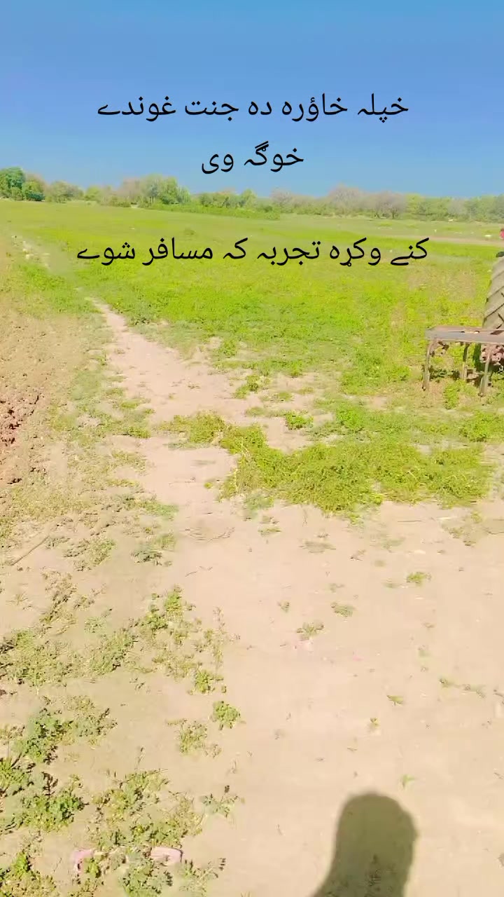 @Amjad Khan