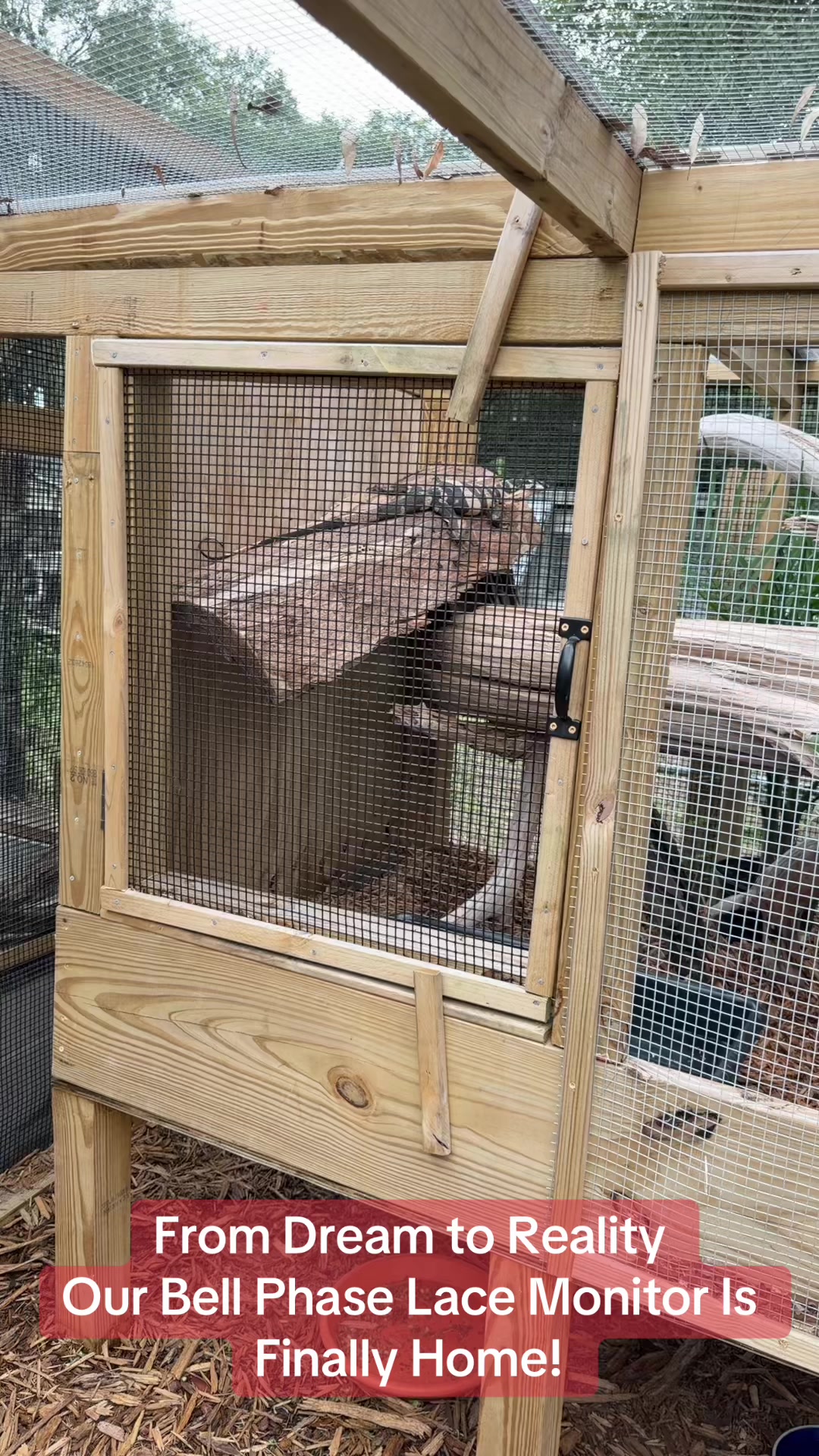 @Exotic Reptiles Viva La Raza
