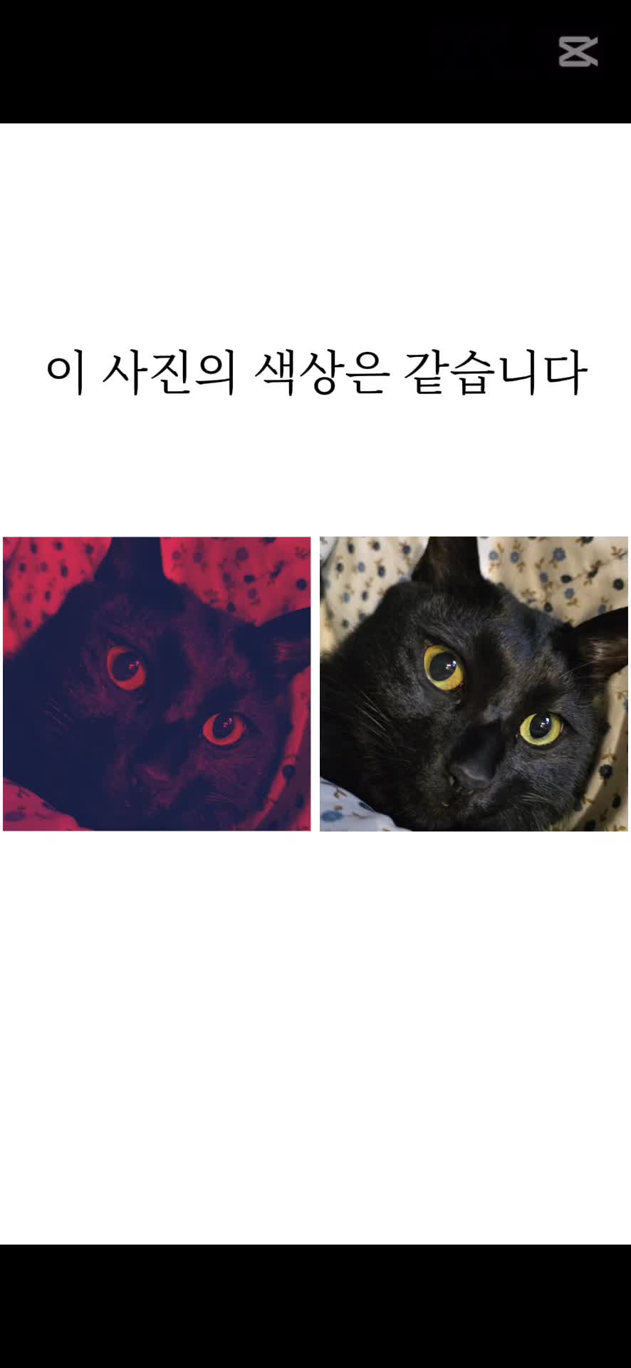 @글씨가 안 보이는 푸🧸