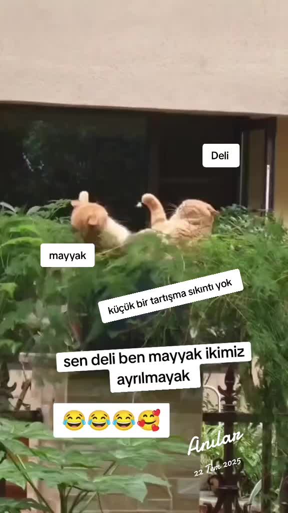 @gamzeli kızı 😊 minnoşlari