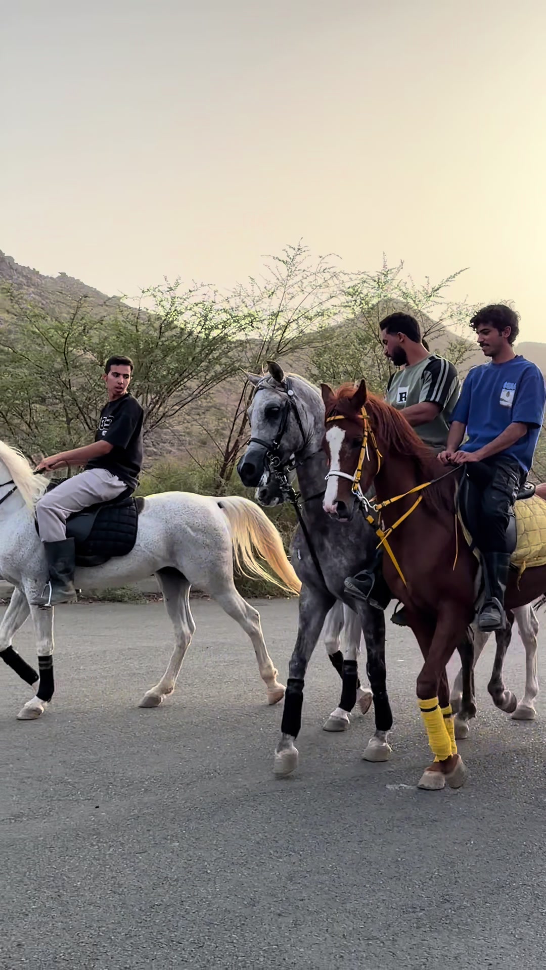 @بـاسـل الـوادعـي⭐️🐎