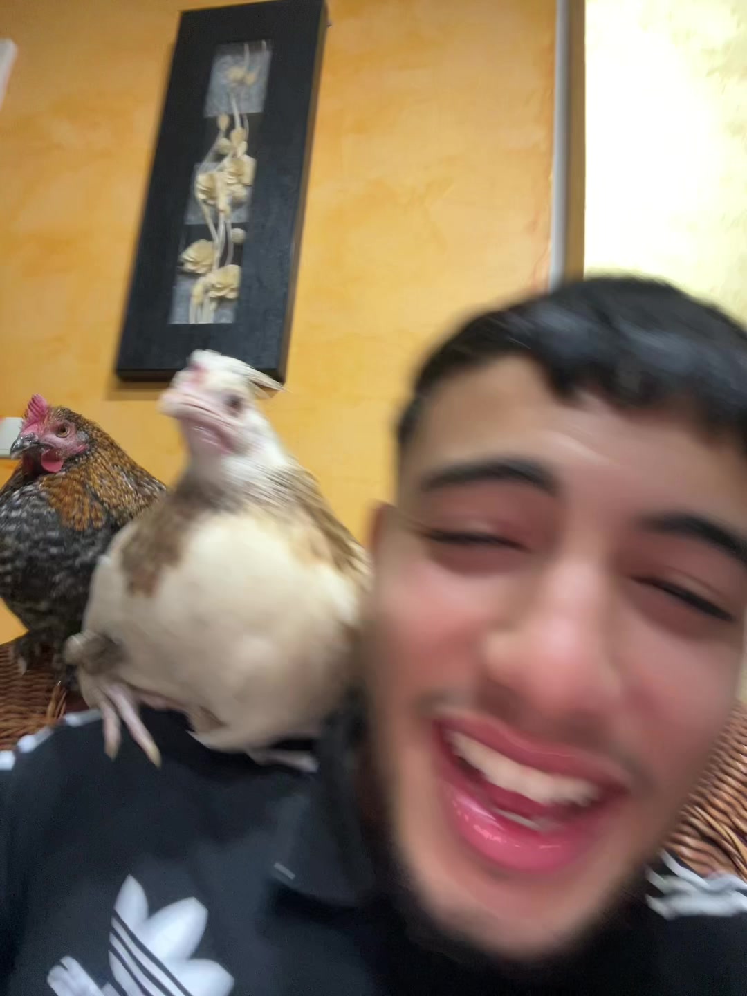 @🇩🇿 CHOOMII 🐦&zwj;🔥