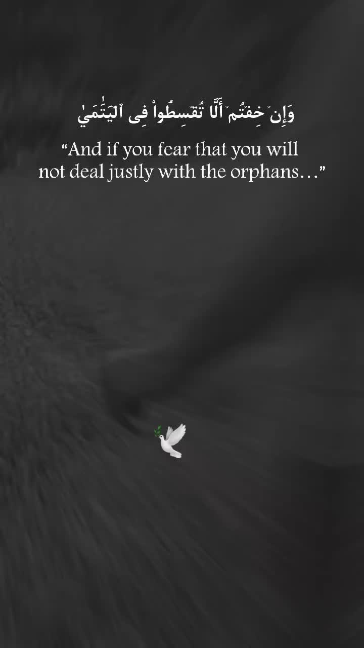 @Mahmoud Abdinaseer 🕊