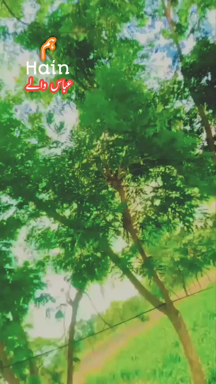 @𝐇ꪊѕѕ𝐚𝘪ꪀ