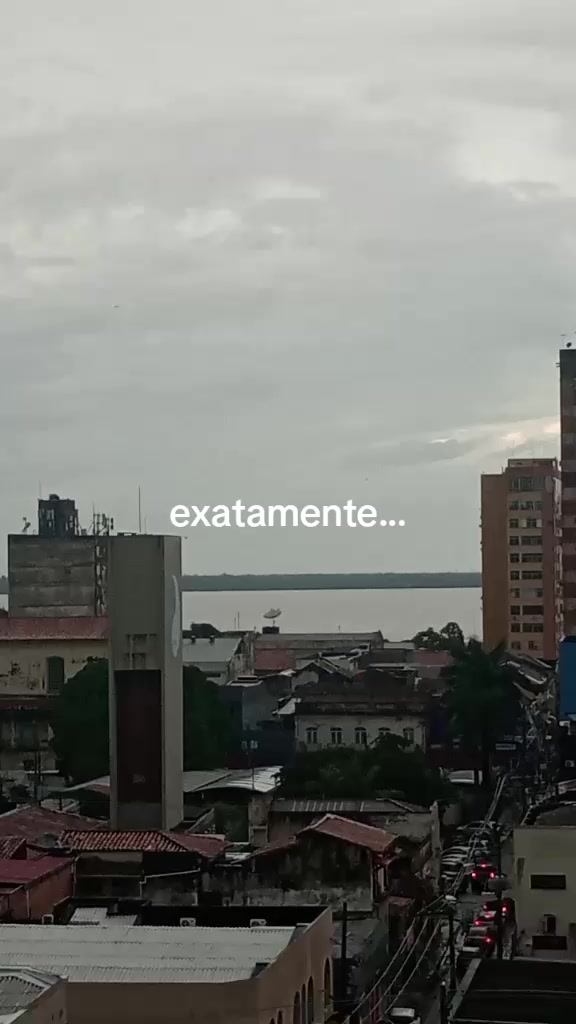 @erikacosta8127