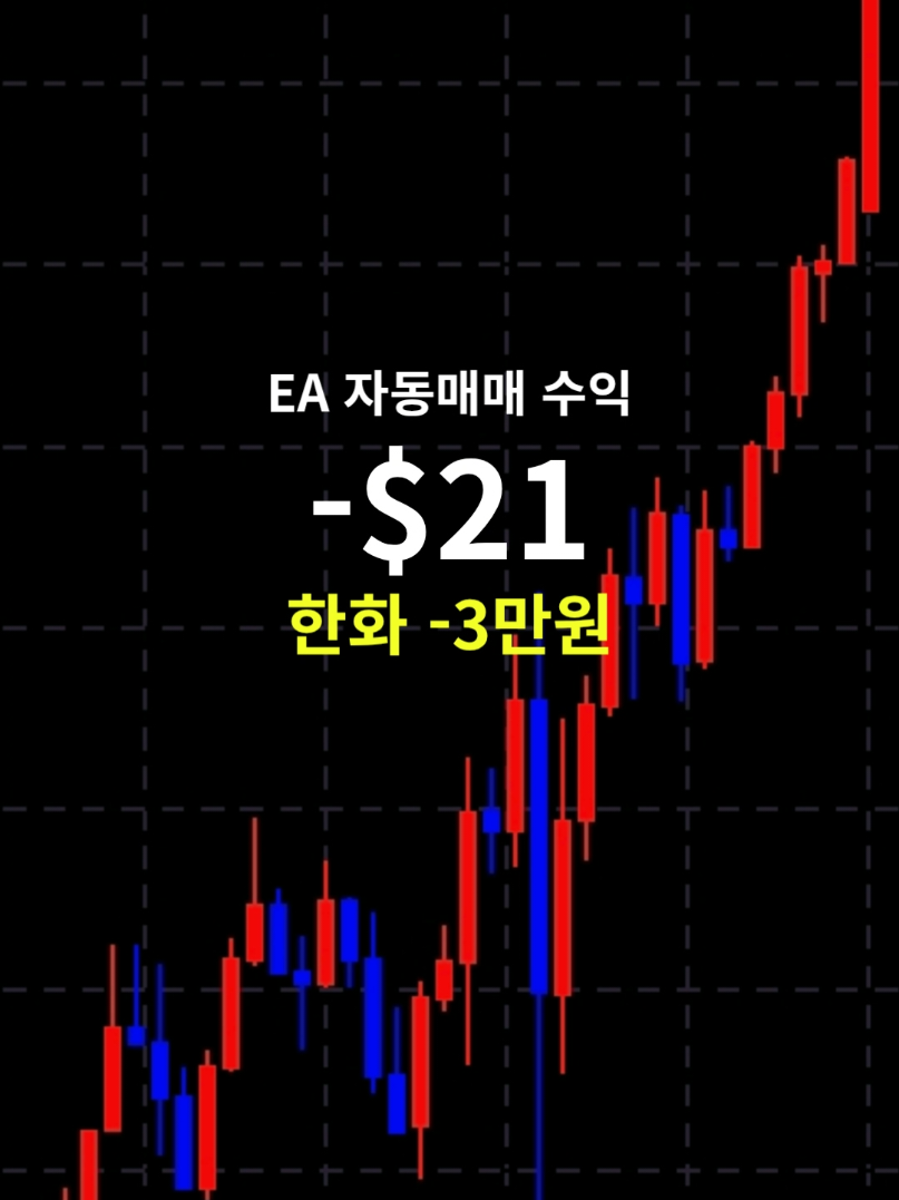 @독싸 &bull; 개인 트레이더