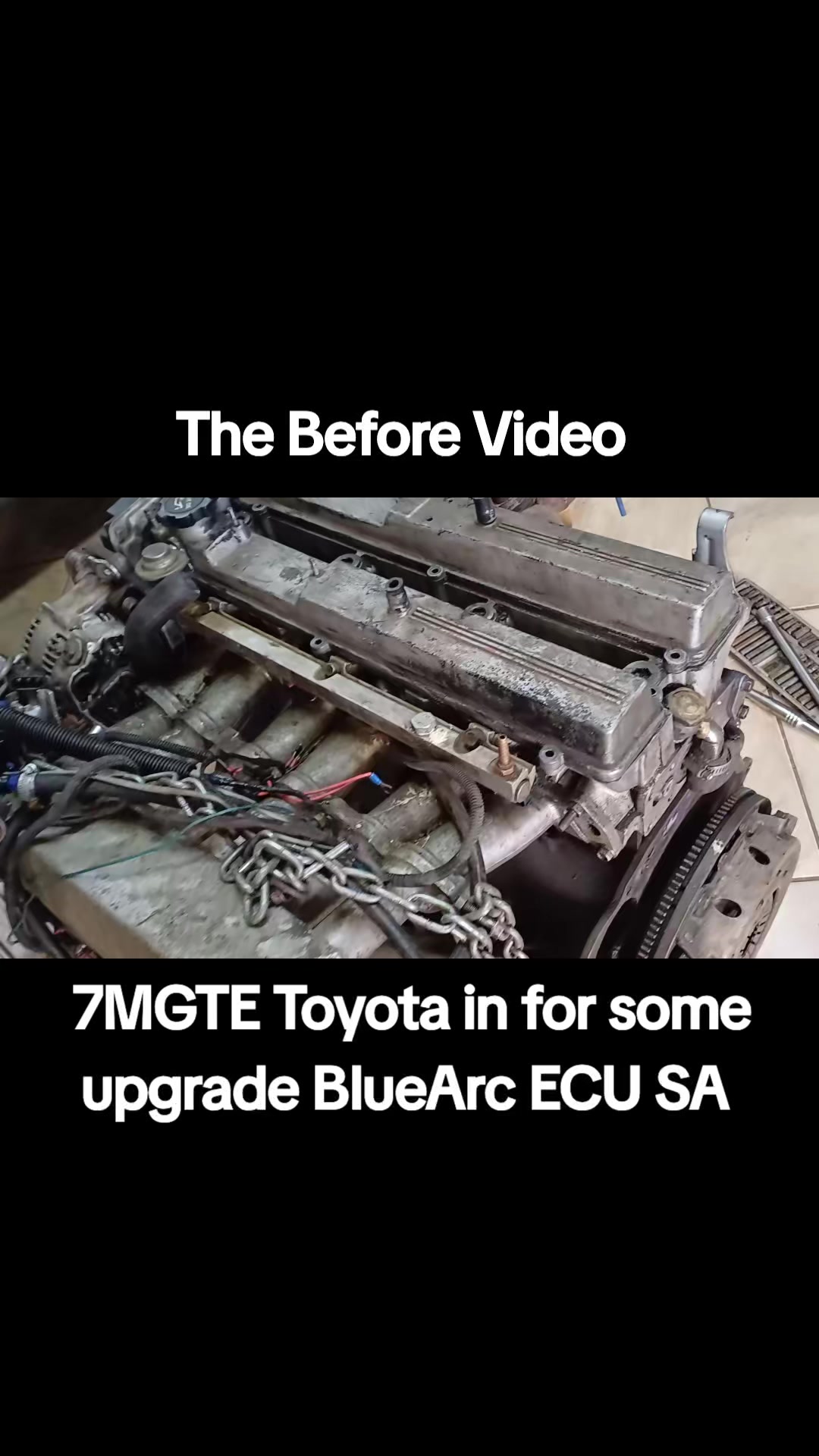 @BlueArc Ecu South Africa