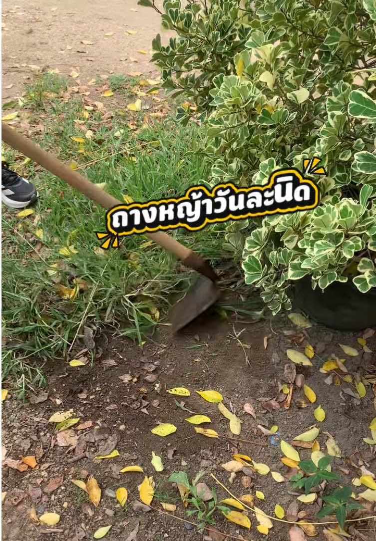 @แม่ปุ๊🦿มารีวิว