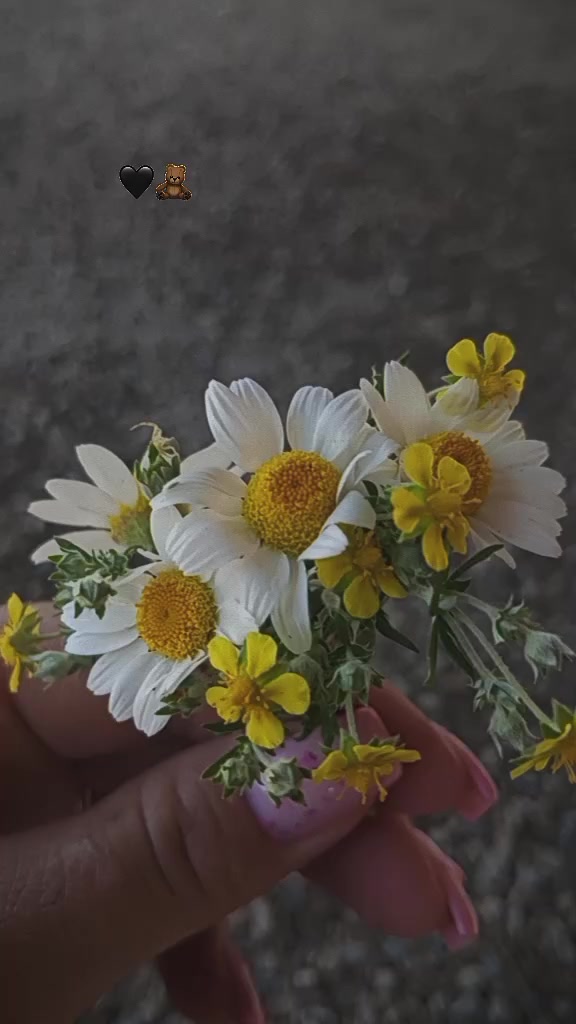 @♡𝙈𝙞𝙣𝙣𝙤𝙨̧➷♡🌸