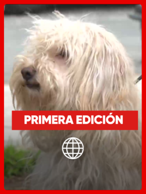 @Am&eacute;rica Noticias