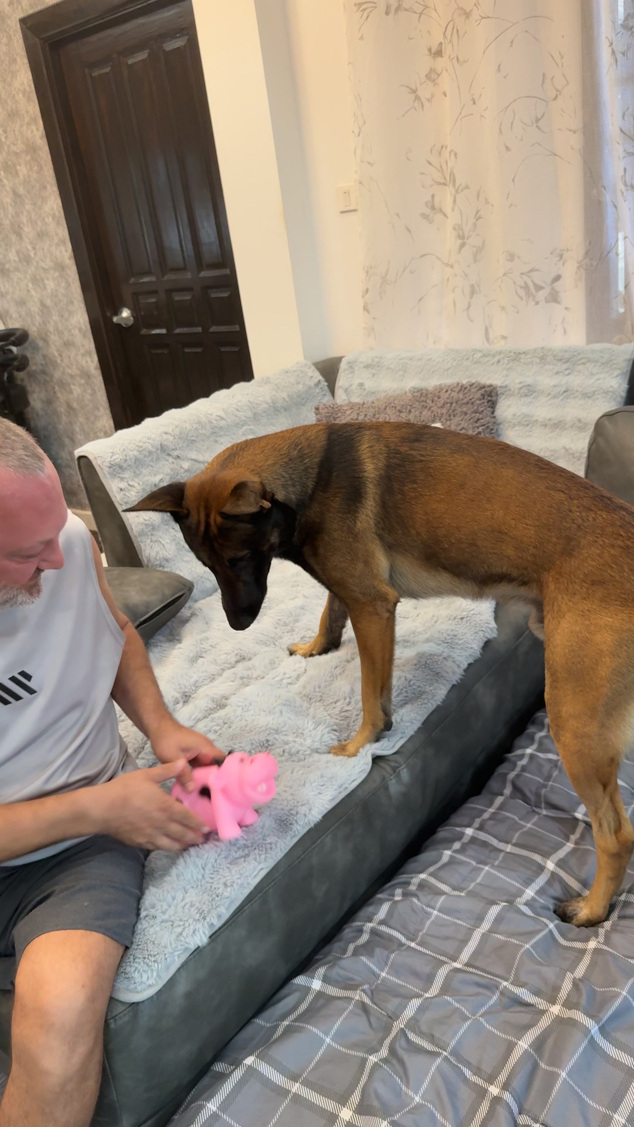 @doglifethailand