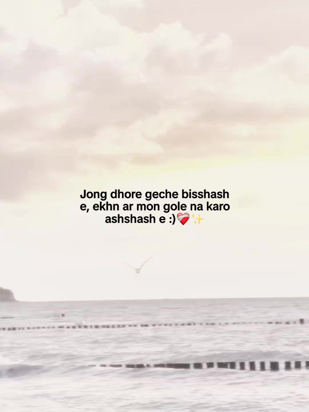 @Someone :)🤍🕊️✨