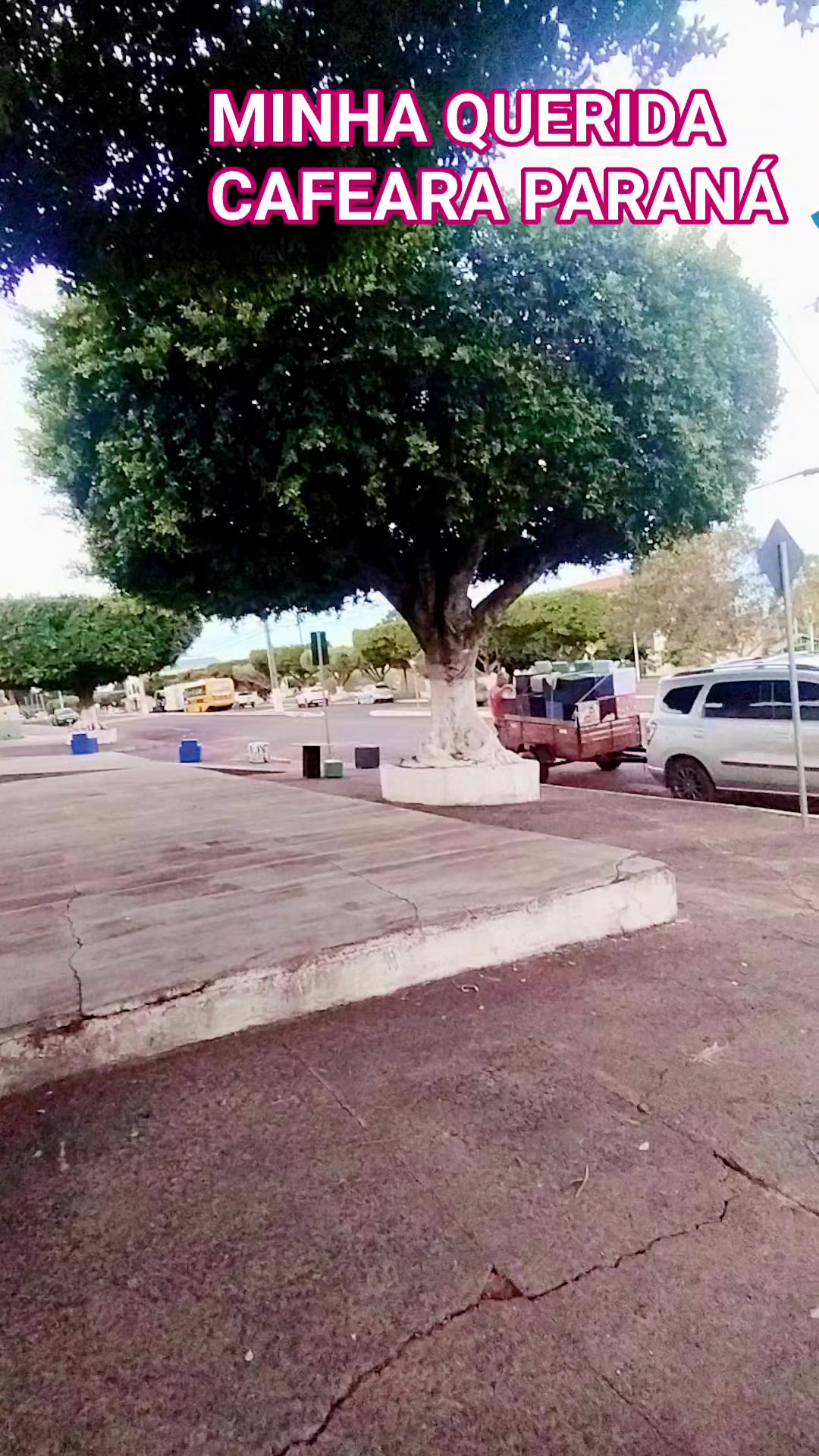 @tapecariamessias