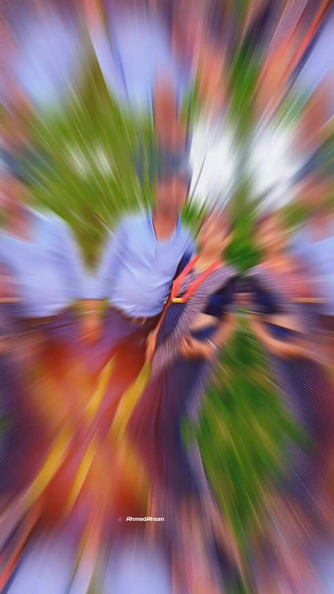 @Khushi