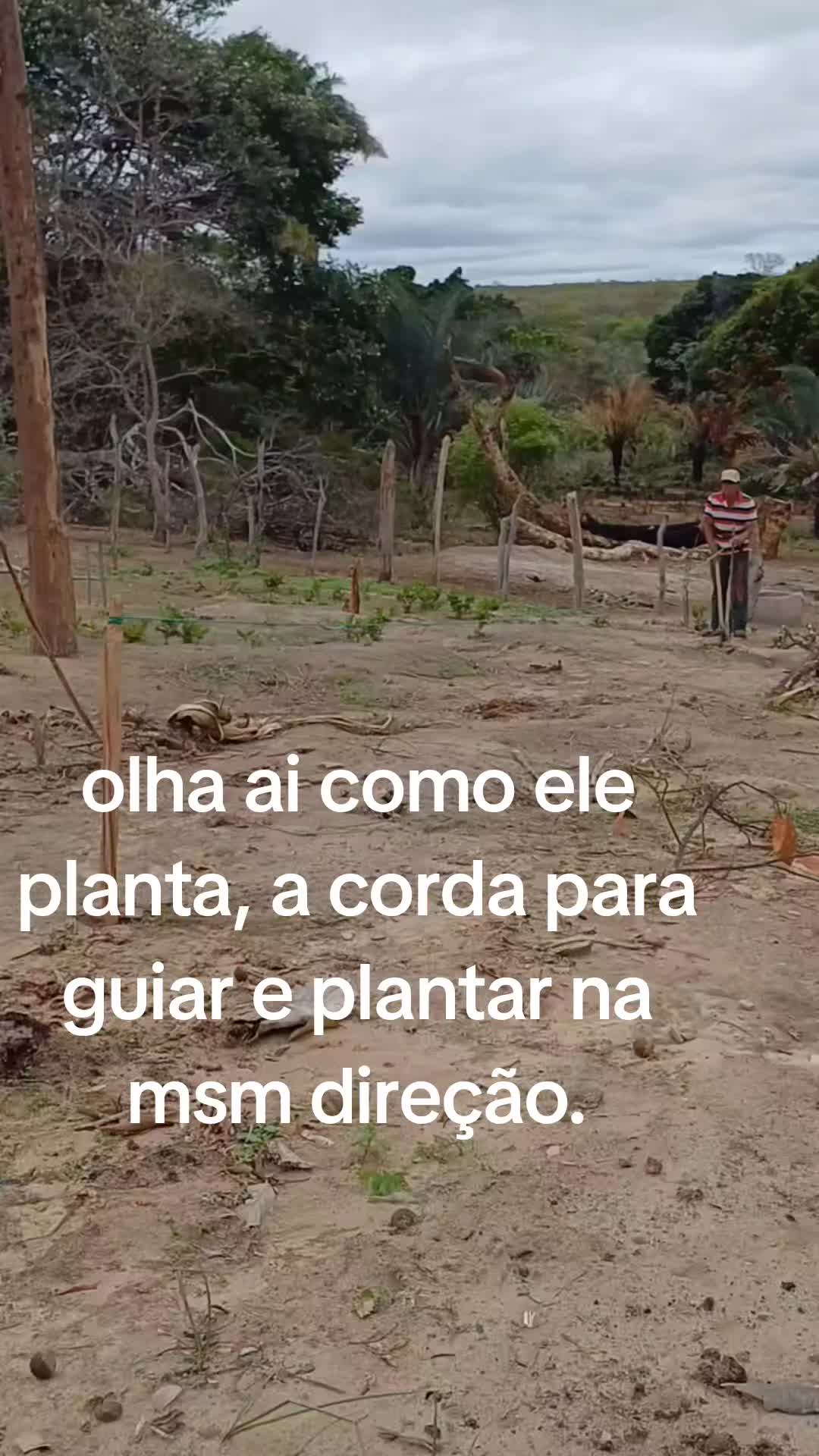 @ericamiranda76