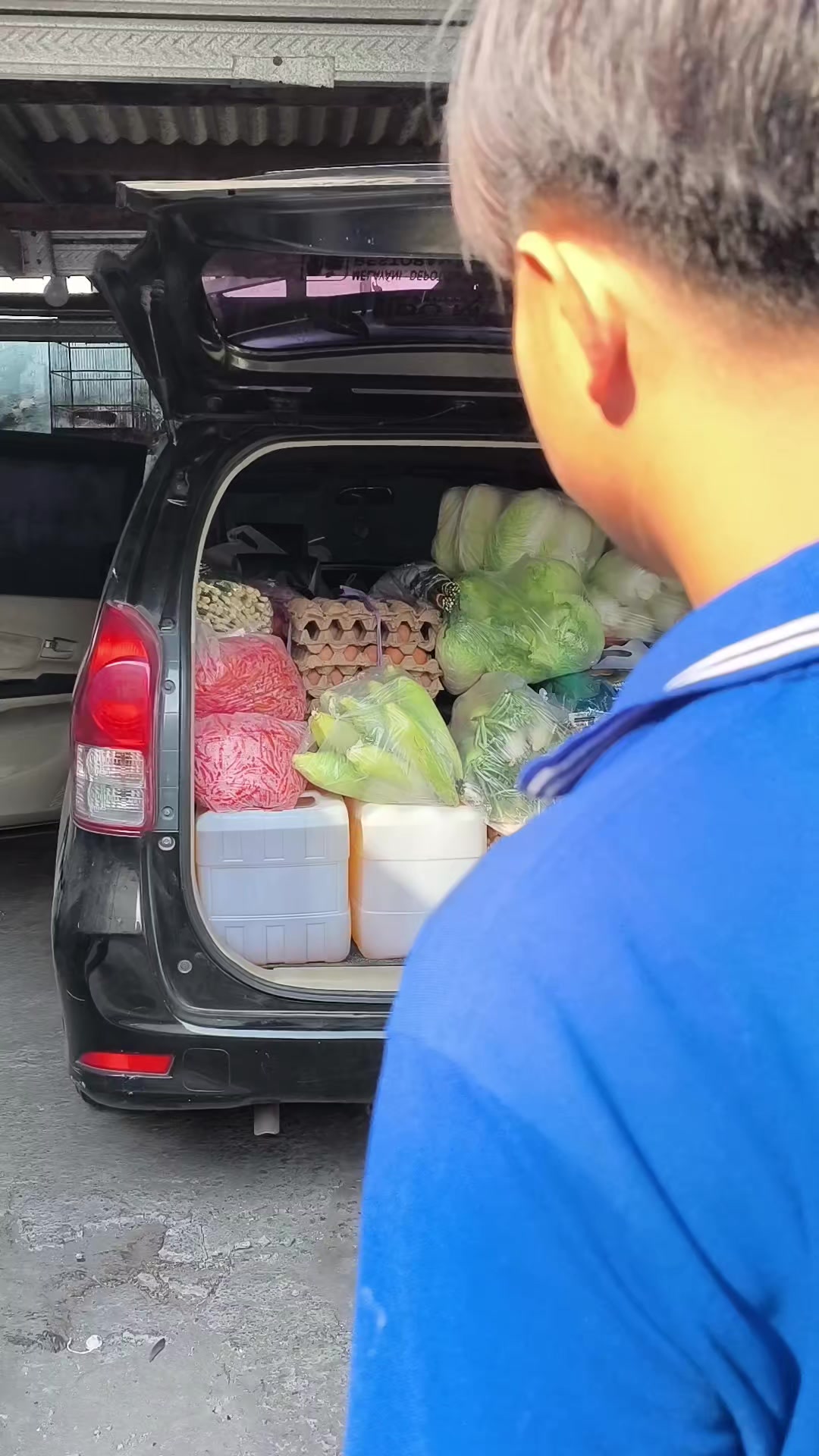 @supplier sayur dan buah sby