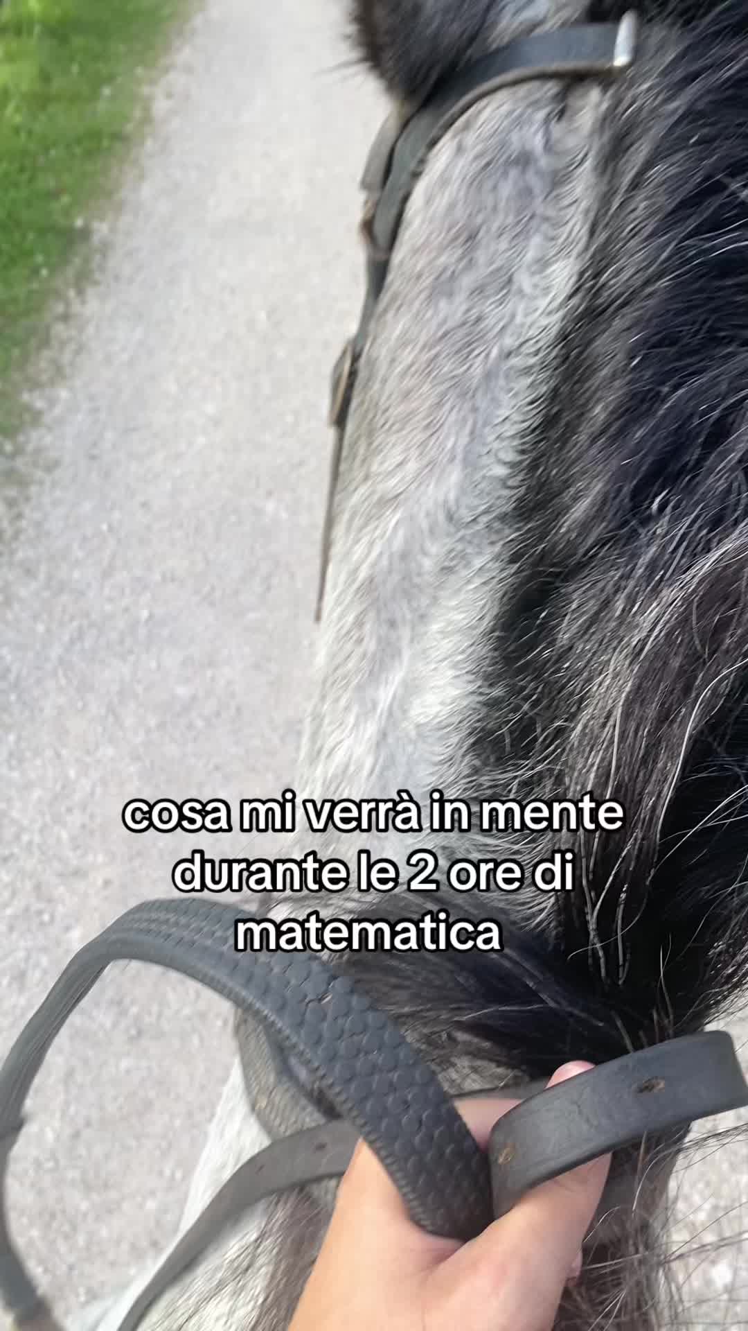 @flavietta
