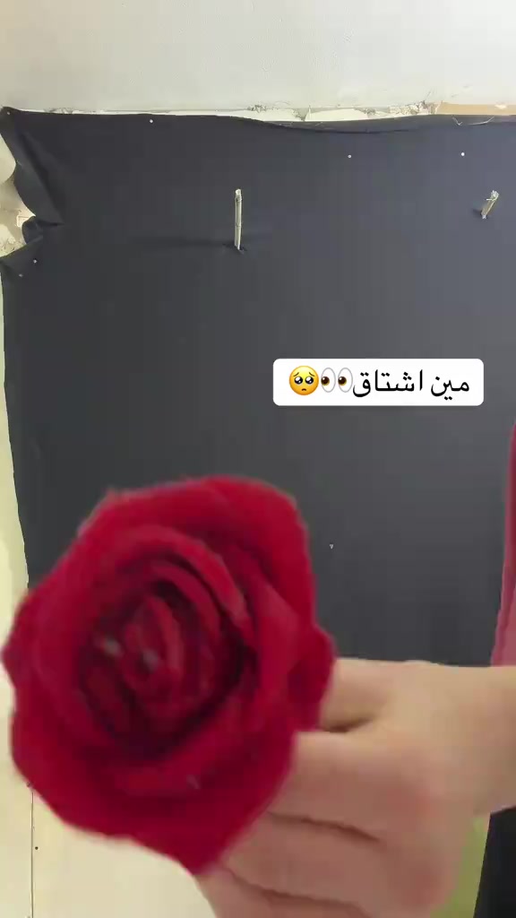 @11_Rambo