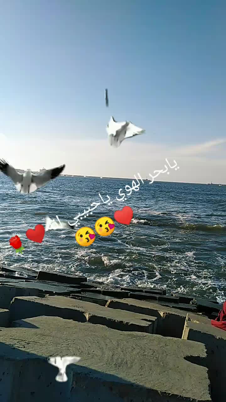@Manona Zidan
