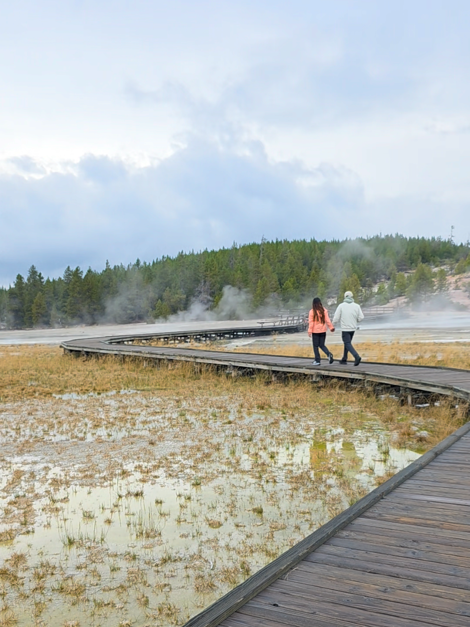@David Molina