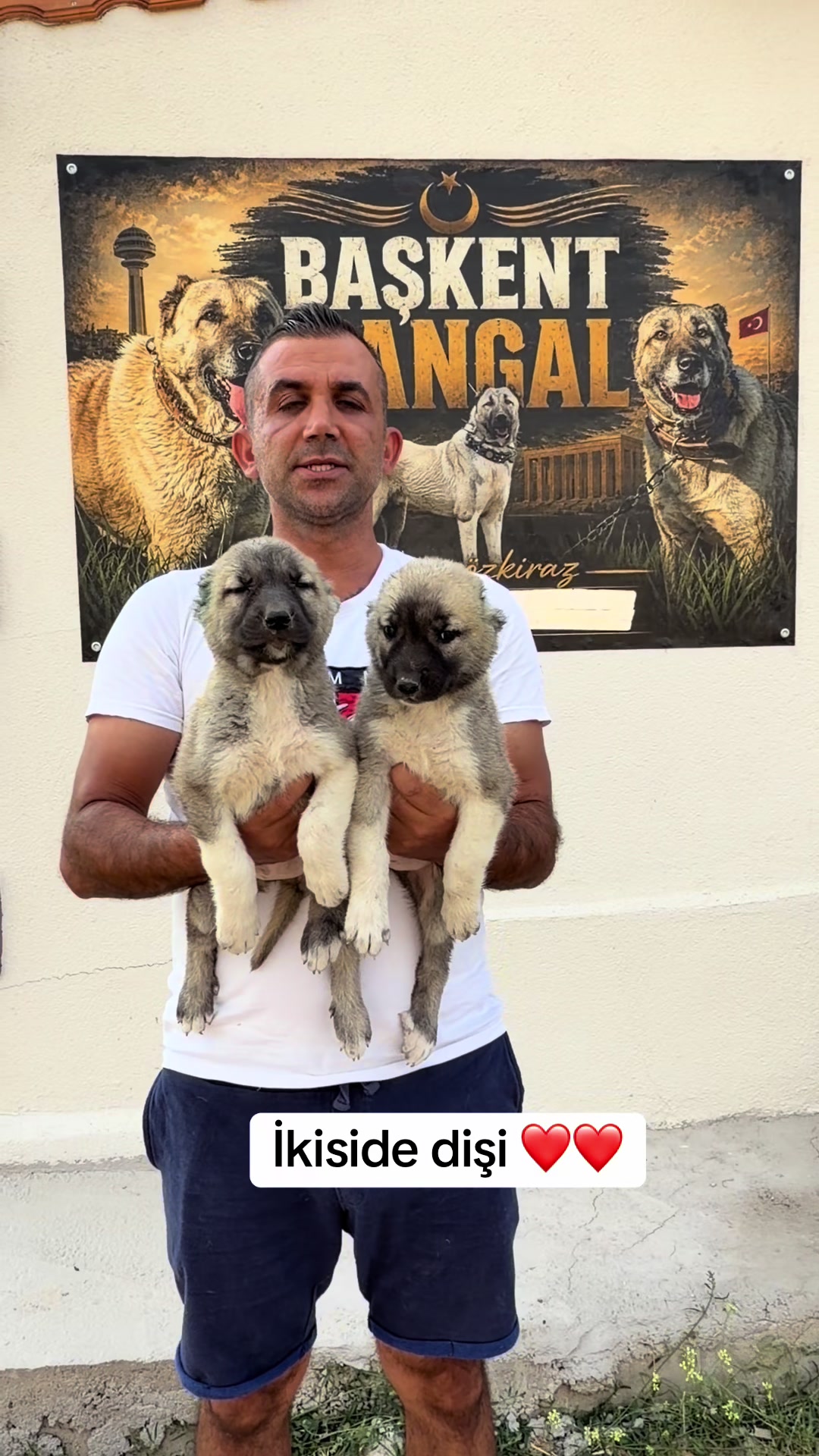 @kangalcı serkan