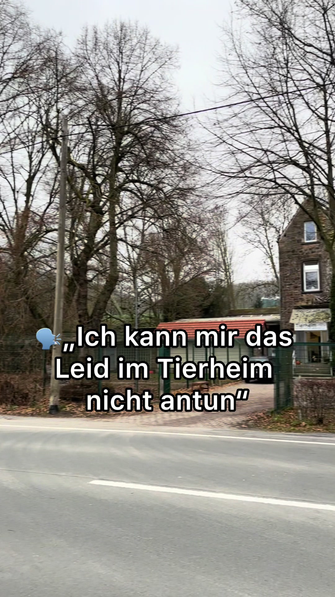 @Tierheim Witten e.V.