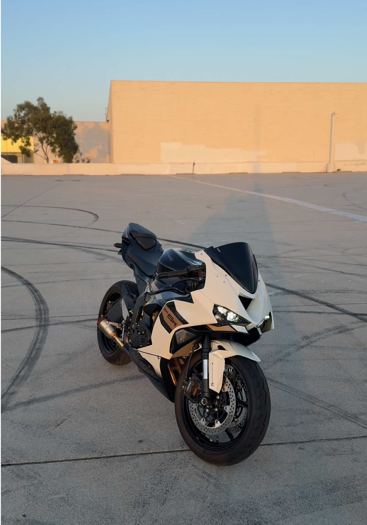 @edz.636