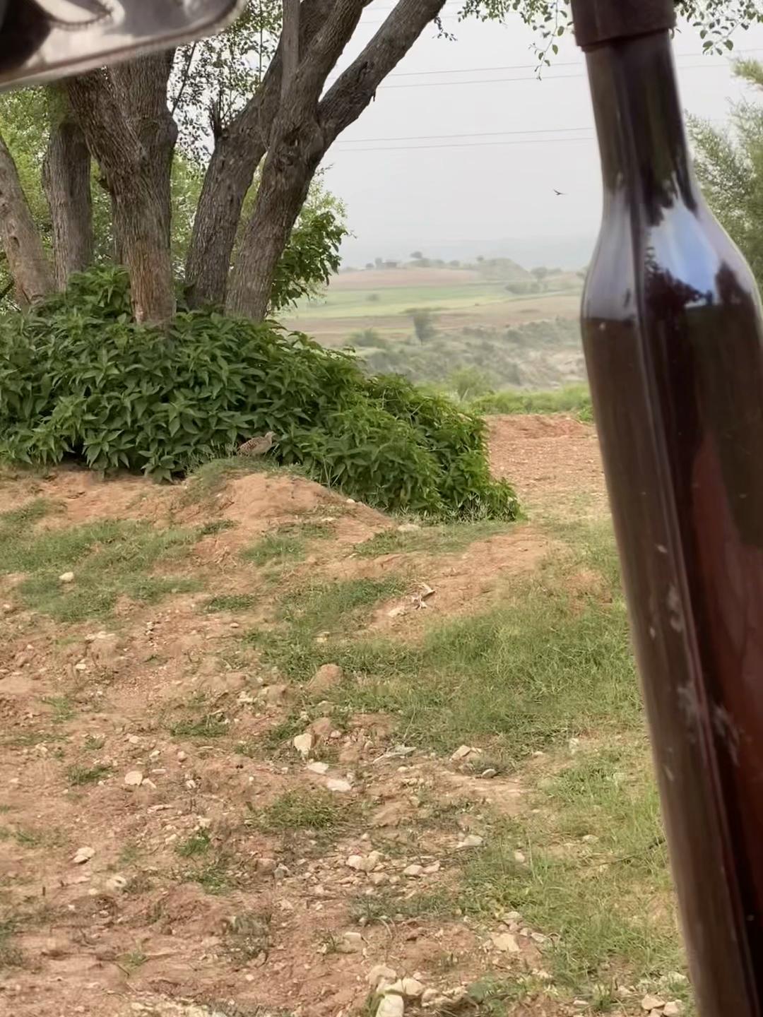 @اعوان زرعی فارم 🌾