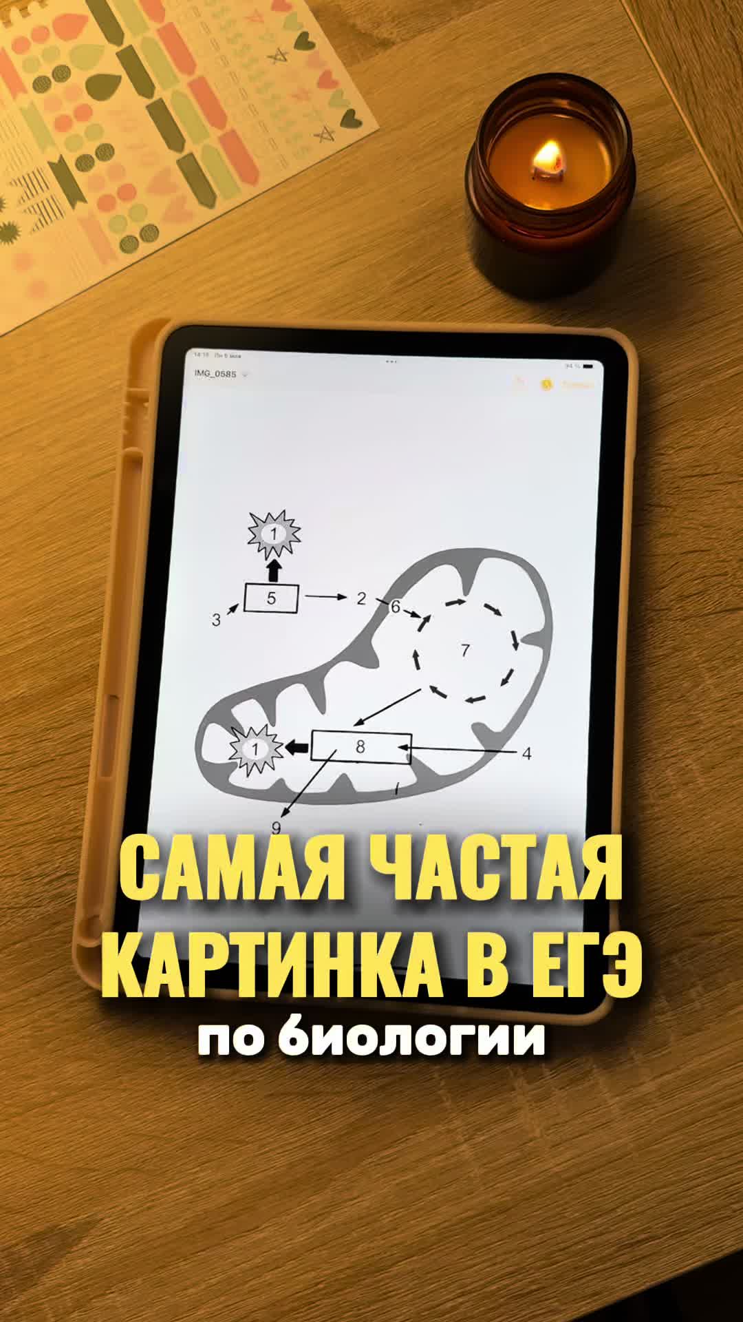 @Алёна Бриз