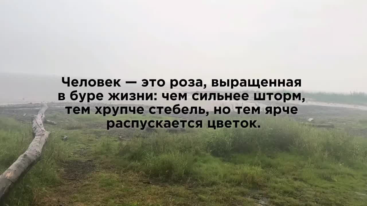 @Пожилой паук