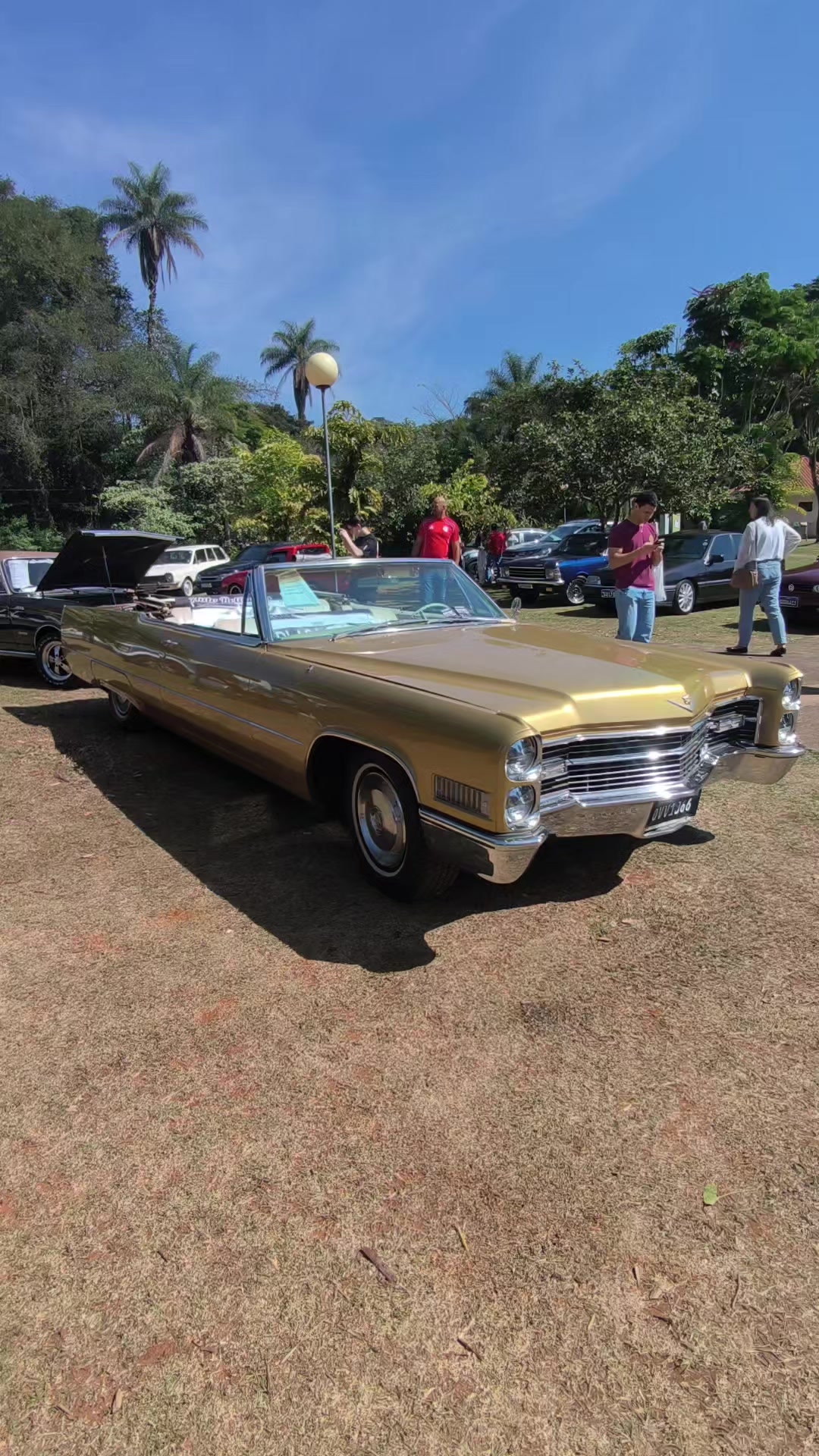 @Cars in Brasil