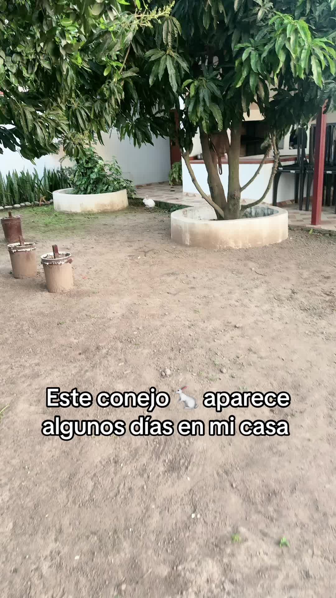 @Omaira Zurita