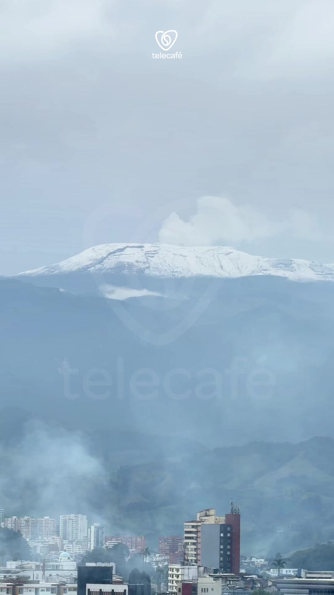 @Canal Telecafé