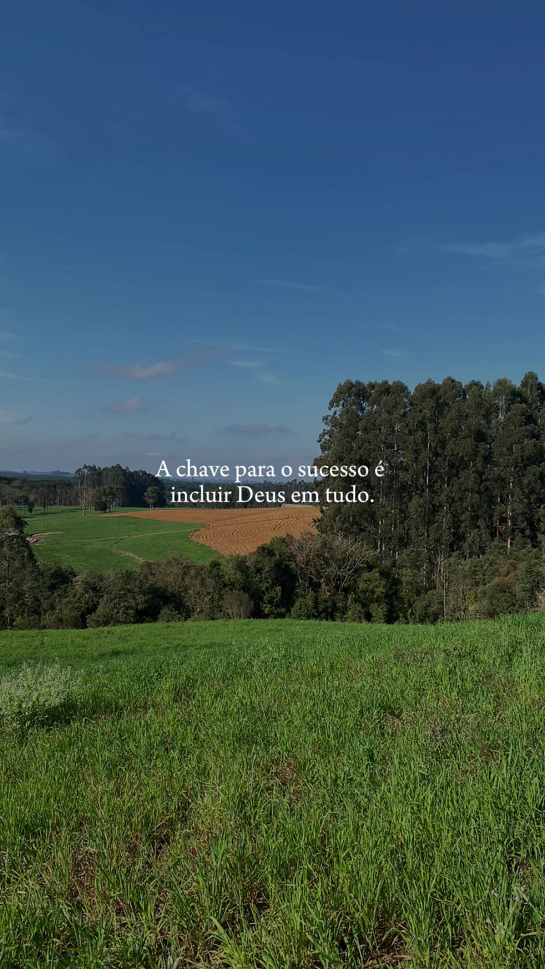 @Achadinhos da Lari