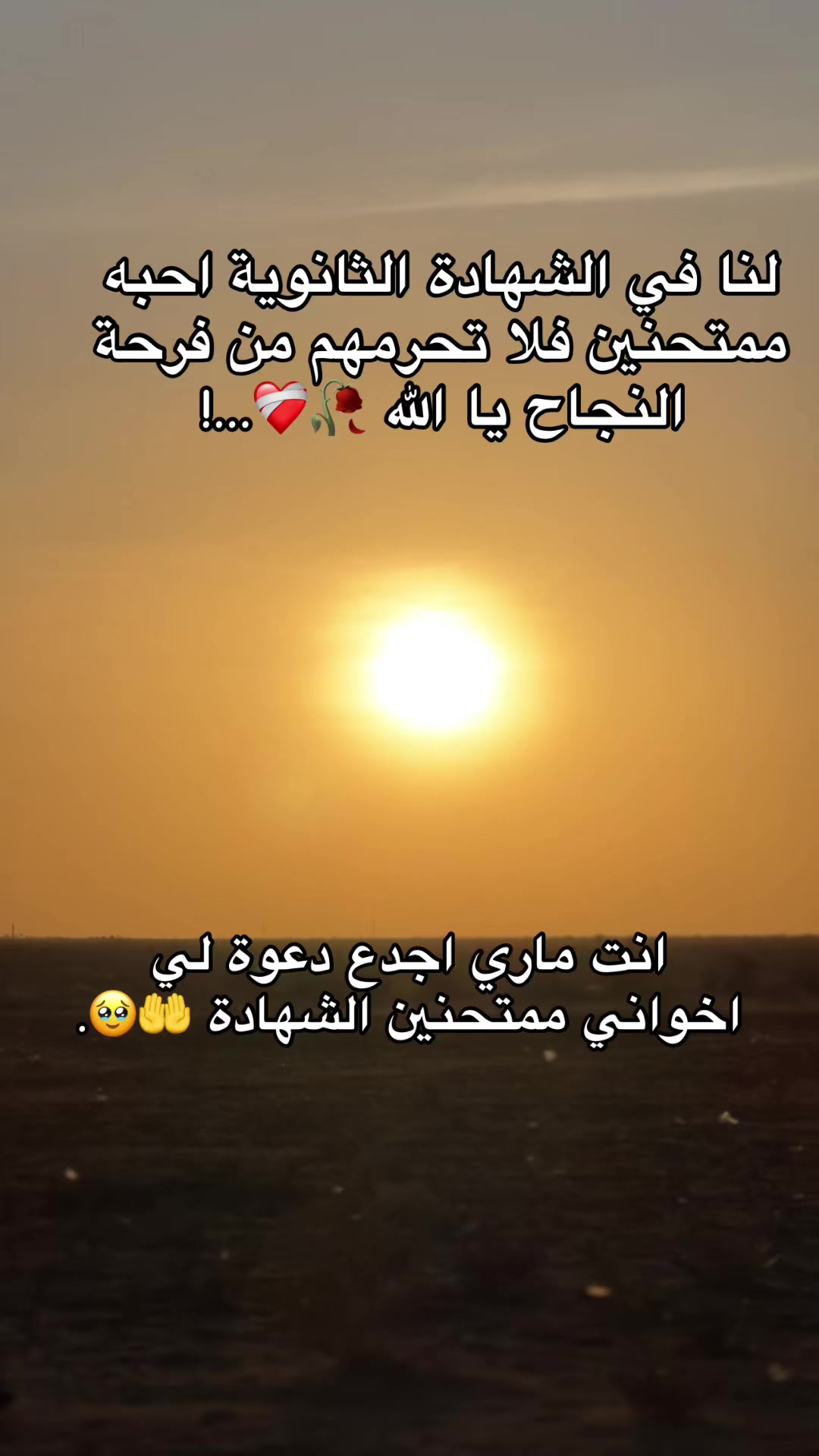 @Omer Kerr