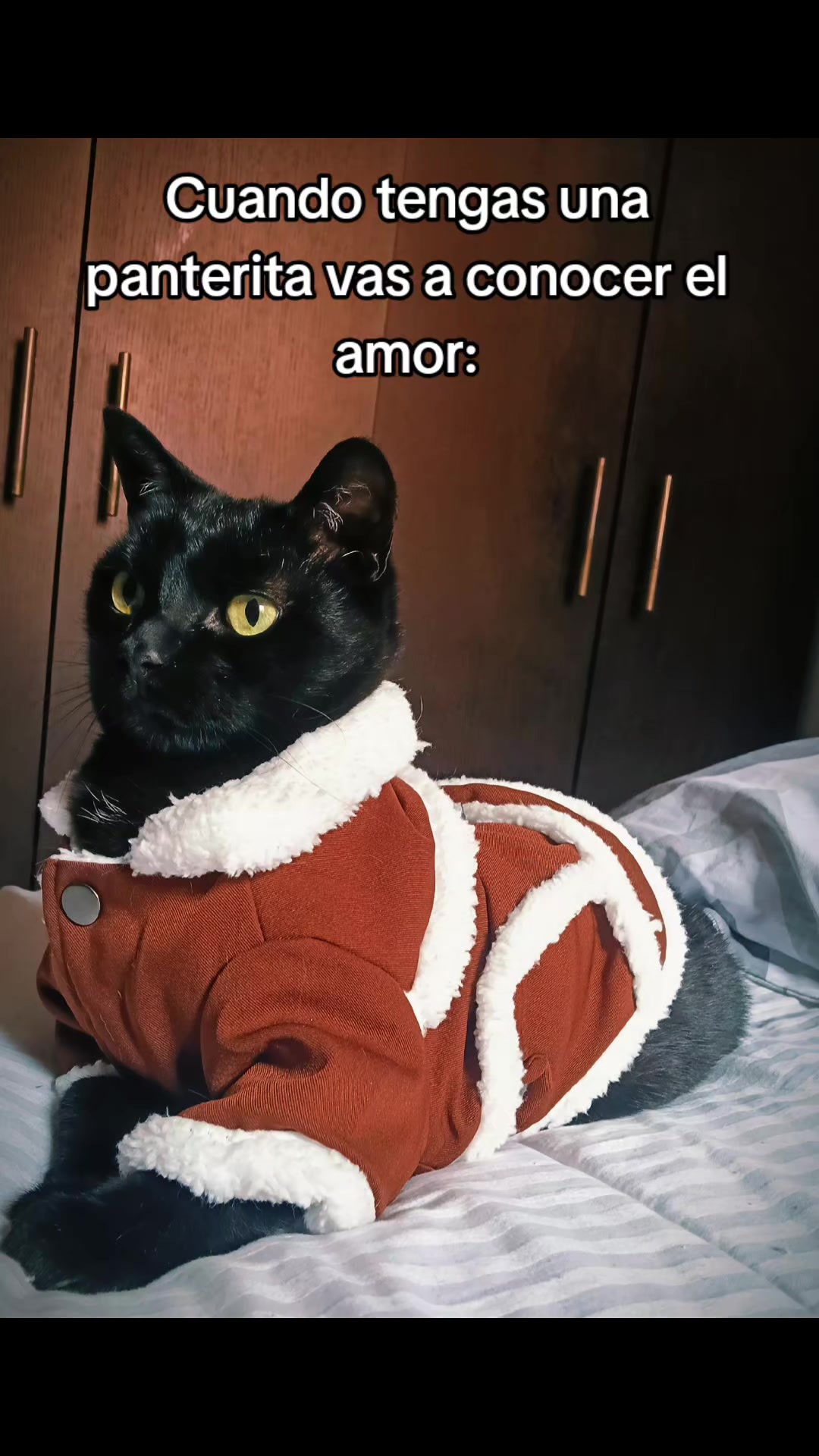@Mejía_Klau