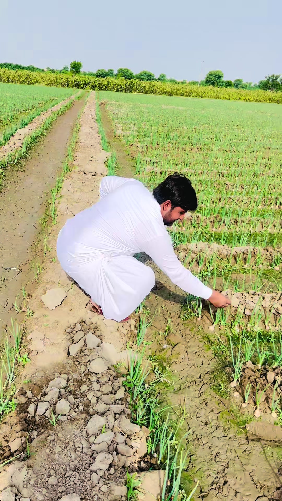 @Sardar Rafay Shaikh